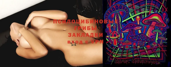 apvp Карталы