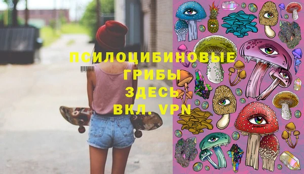 метадон Карпинск
