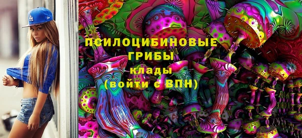 PSILOCYBIN Касимов