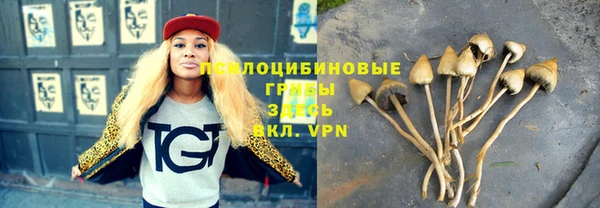 apvp Карталы