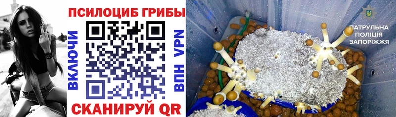 Псилоцибиновые грибы GOLDEN TEACHER  Купить где  Багратионовск 